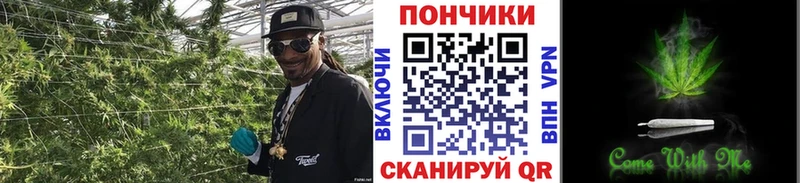 Все наркотики Приморск Галлюциногенные грибы  МАРИХУАНА  Амфетамин  ГАШИШ  МЕФ  ОМГ ОМГ зеркало  A-PVP 