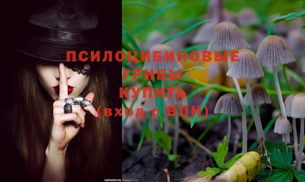 прущий лед Алзамай