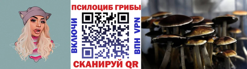 купить   Приморск  Галлюциногенные грибы мухоморы 
